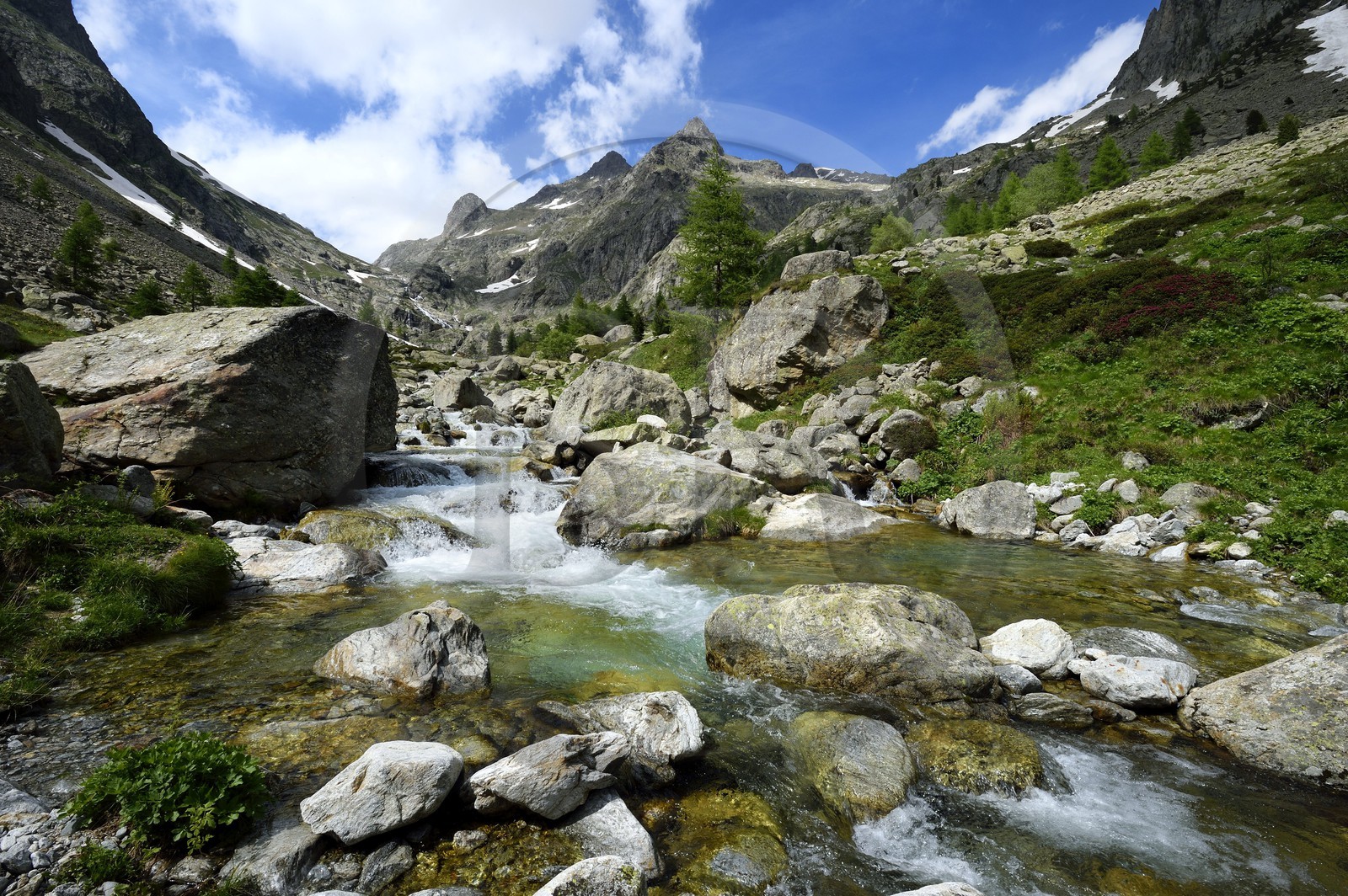 France, Alpes-Maritimes (06), parc national du Mercantour, Haute-Vésubie, vallon de la Gordolasque