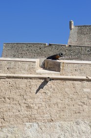 France, Bouches-du-Rhône (13), Marseille, Le Vieux Port, le Fort Saint Nicolas