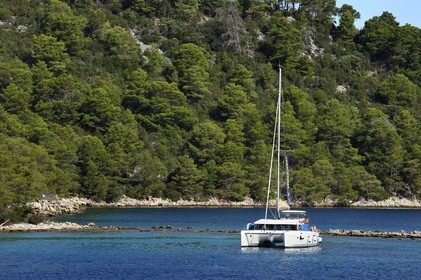 Croatie, Dalmatie, cote dalmate, Ile de Mljet, trimaran dans le Parc national de Mljet vers Polace