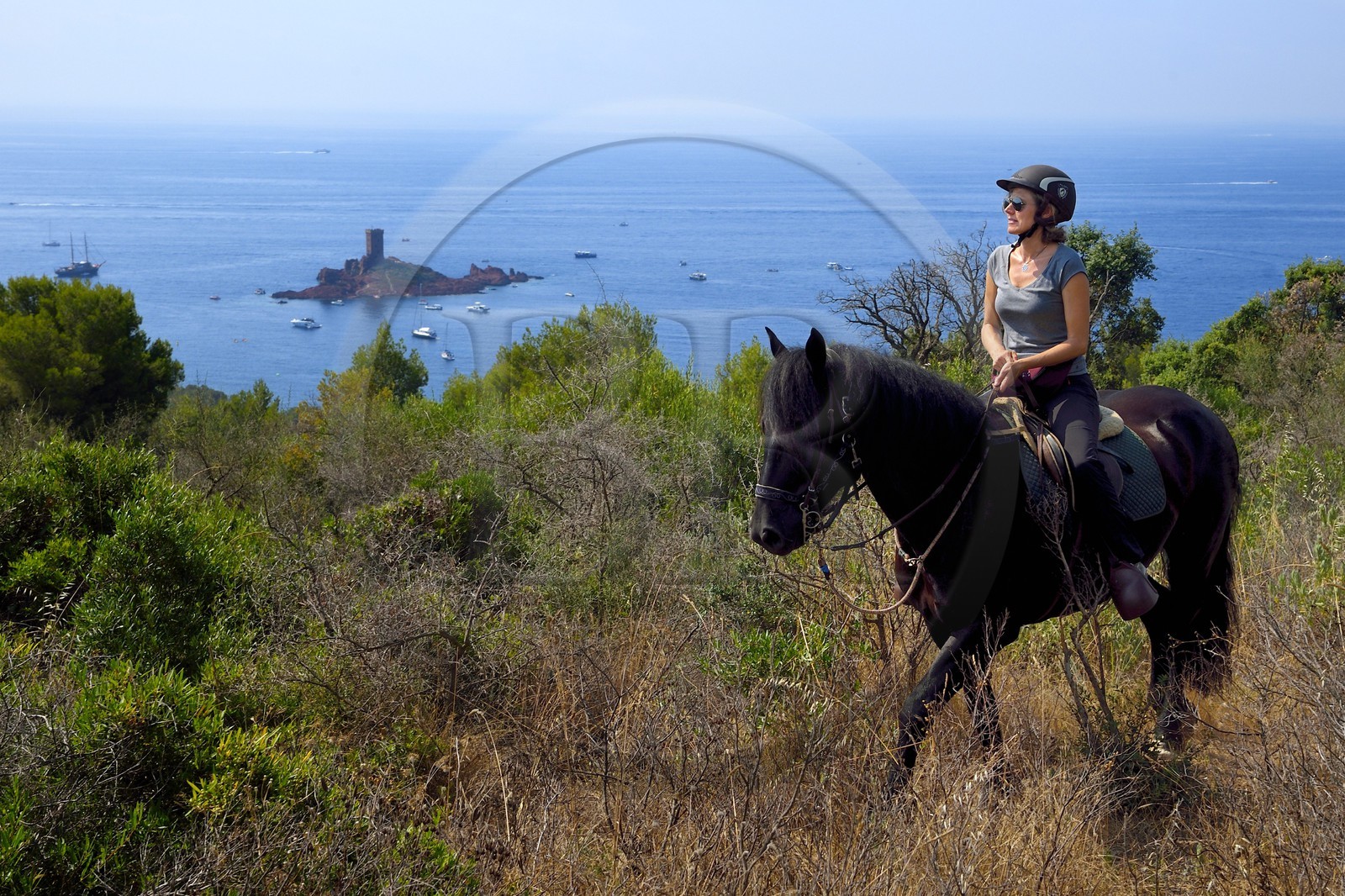 France, Var (83), Agay commune de Saint-Raphaël, cavaliers en randonnée dans le massif de l'Estérel et l'Ile d'Or au large du cap du Dramont en arrière plan