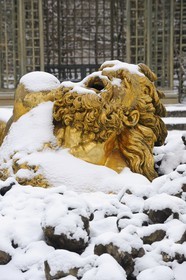 France, Yvelines (78), parc du château de Versailles sous la neige, classé Patrimoine Mondial de l'UNESCO, le Bosquet de l'Encelade oeuvre de Marsy