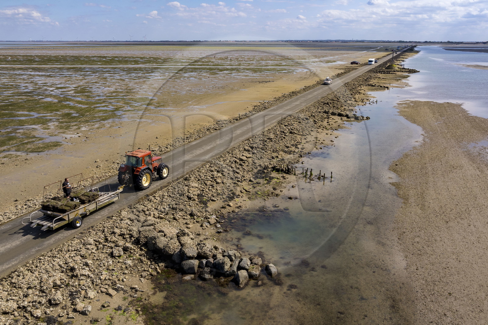 France, Vendée (85), île de Noirmoutier, Barbatre, tracteur ostréicole sur le passage du Gois, chaussée submersible qui relie l'île au continent à marrée basse (vue aérienne)