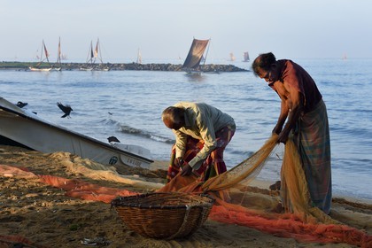 Sri Lanka, Province de l'Ouest, Negombo, pecheurs triant leurs filets sur la plage de Porathota