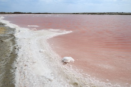 France, Bouches-du-Rhône (13), Camargue, Salin-de-Giraud, les salins du Midi, dépots de sel