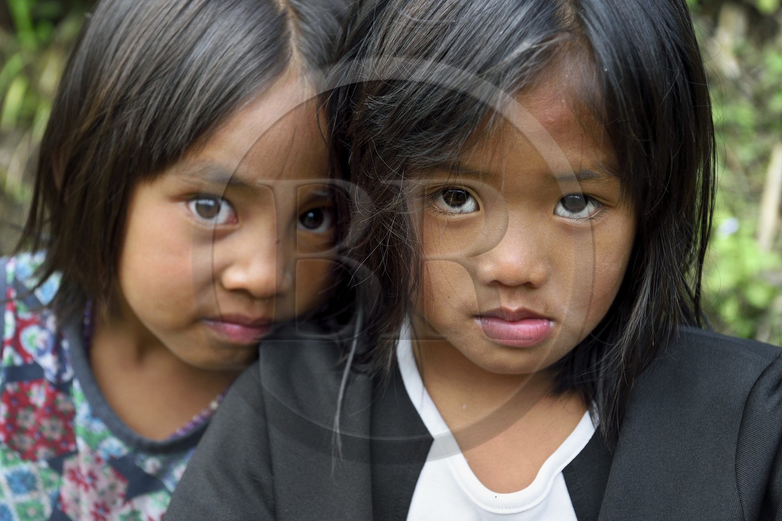 Philippines, province d'Ifugao, région de Banaue, village de Cambulo, fillettes
