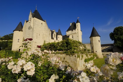 France, Indre et Loire (37), château du Rivau