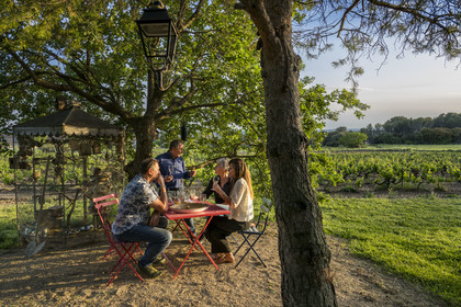 France, Vaucluse (84), Dentelles de Montmirail, Beaumes-de-Venise, Mas de l’Evajade, la maison d’hôtes vigneronne de Corinne et Pascal Bernard