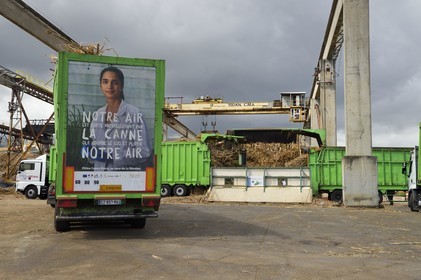 France, Ile de la Reunion, Saint-Louis, l'usine sucrière du Gol, déchargements de la canne à sucre des cachalots (camions ou remorques)