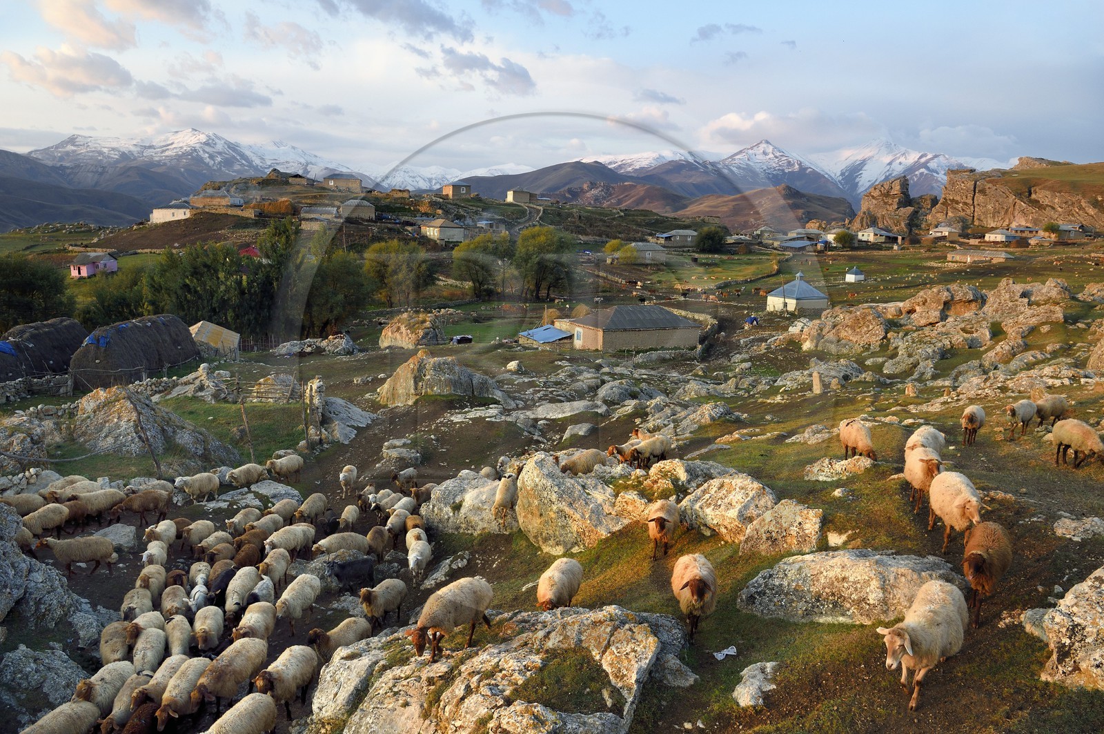 Azerbaïdjan, région de Quba (Guba), chaine de montagne du Grand Caucase, village de Giriz à l'aube, départ des moutons pour les prés