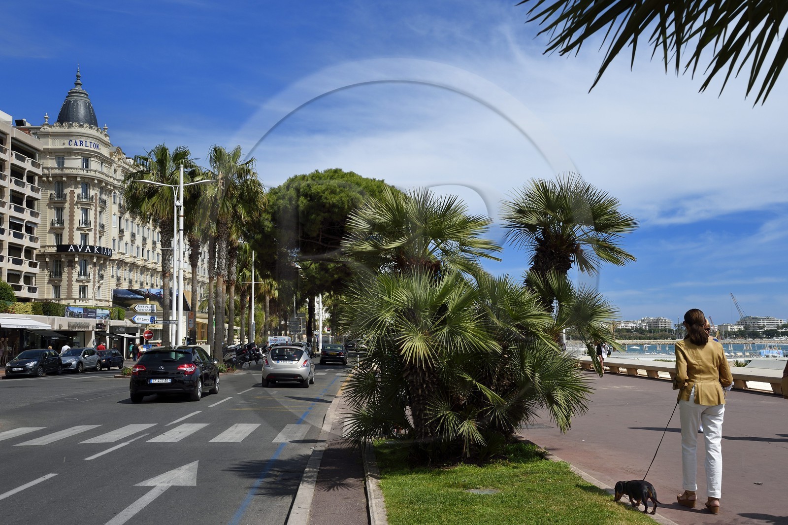 France, Alpes-Maritimes (06), Cannes, le palace du Carlton sur le boulevard de la Croisette