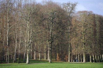 France, Yvelines (78), parc du château de Versailles, classé Patrimoine Mondial de l'UNESCO