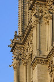 France, Paris (75), Ile de la Cité, cathédrale Notre-Dame de Paris, gargouilles de la tour nord