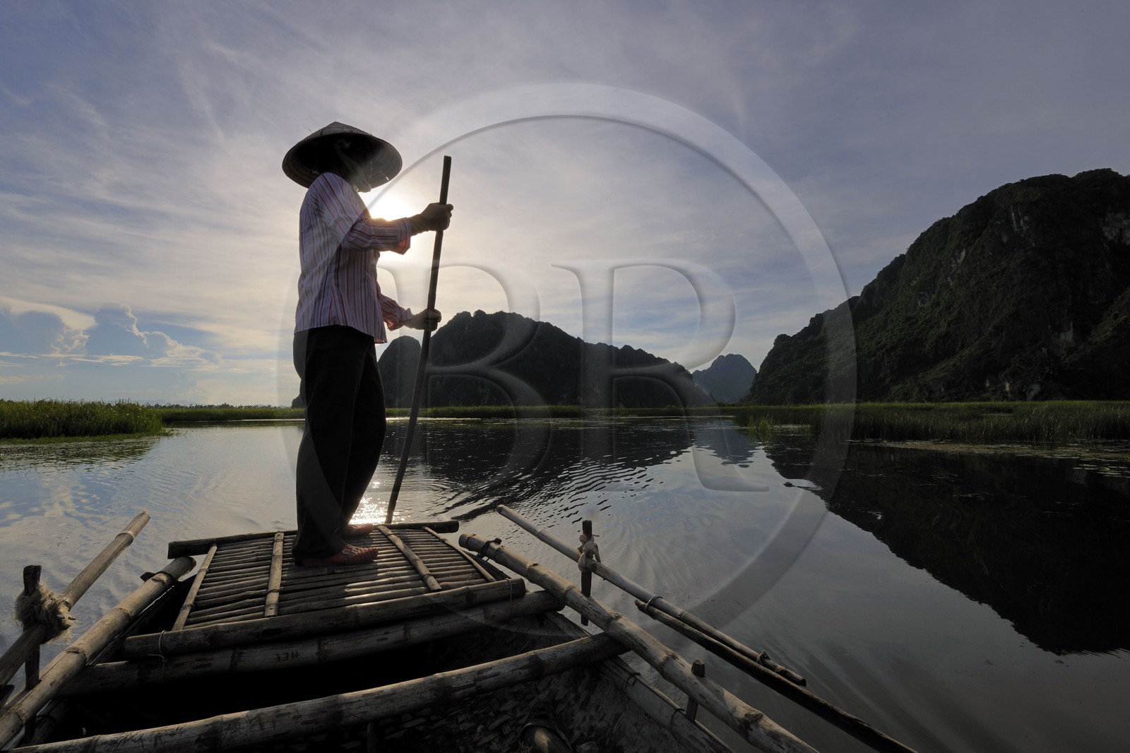 Vietnam, province de Ninh Binh, région surnommée la baie d'Halong terrestre, réserve naturelle de Van Long et ses paysages karstiques