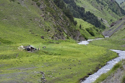 Géorgie, Kakheti, Parc national de Touchétie, vallée de la rivière Alazani dans les montagnes de Pirikiti, campement de bergers