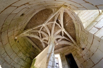France, Dordogne (24), Rouffignac-Saint-Cernin-de-Reilhac, chateau de l'Herm, l'escalier en vis torsadée aboutissant à un palmier de pierre