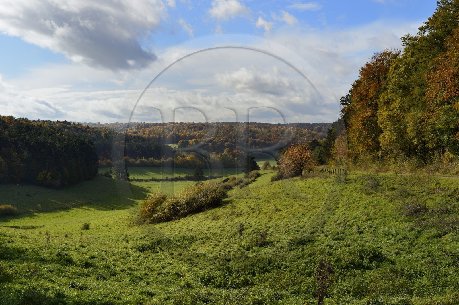 France, Meuse (55), Parc régional de Lorraine, Cotes de Meuse vers Saint-Remy-la-Calonne