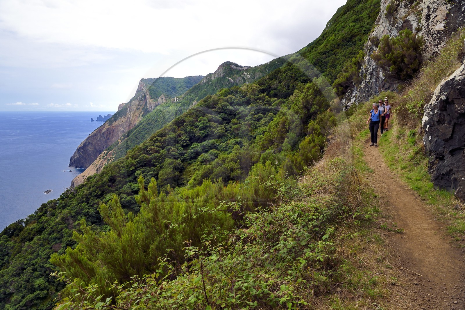 Portugal, Ile de Madère, randonnée de Machico à Porto da Cruz par le Vereda do Larano, randonneurs sur le sentier taillé à flanc de paroi dans la falaise de Larano