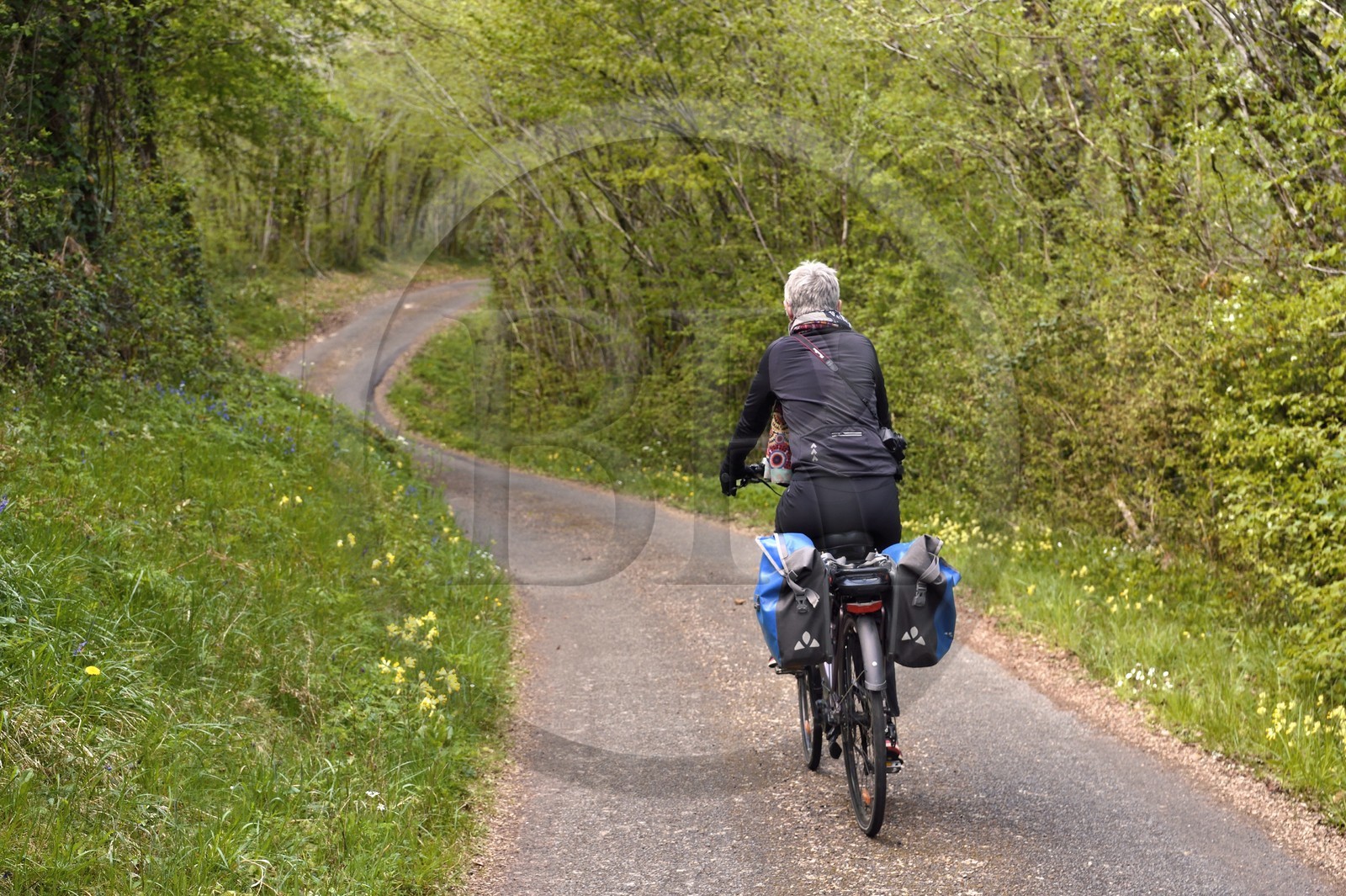 France, Charente (16), Souffrignac, cycliste sur la Coulée d’Oc (portion de la véloroute La Flow Vélo)