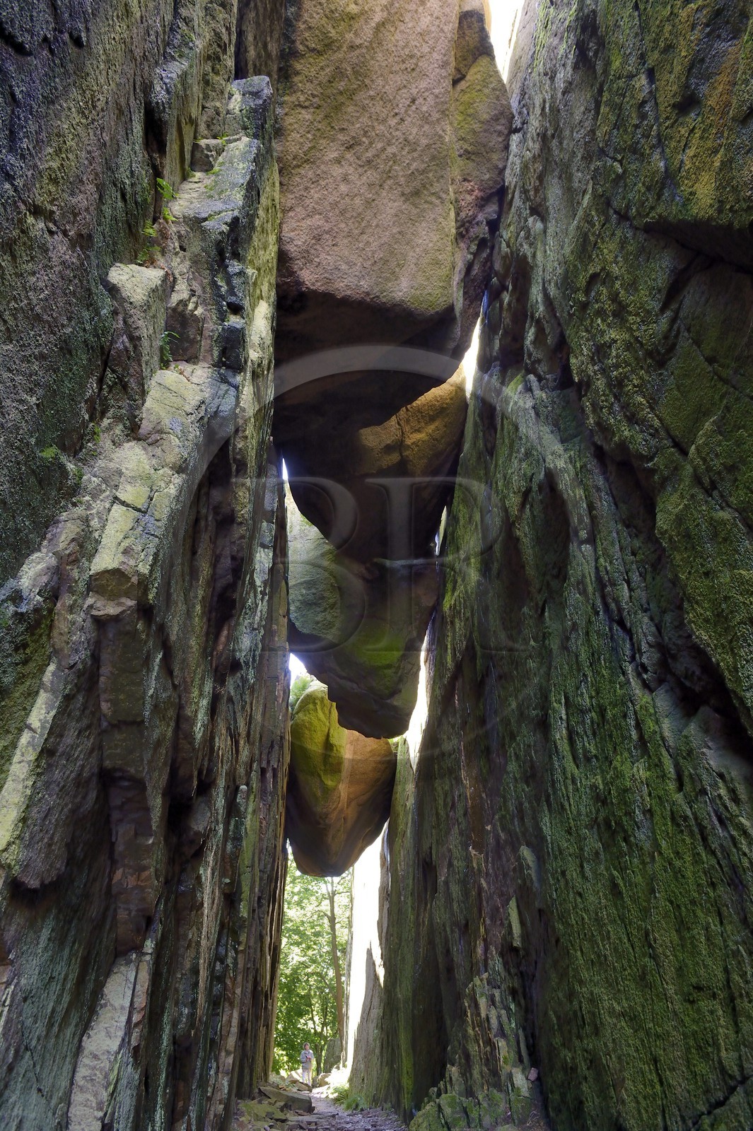 Suède, Västra Götaland, Fjällbacka, Le rocher de Vetterberget