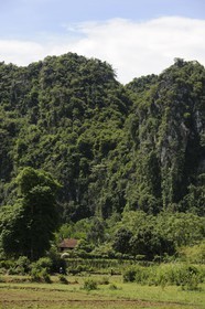 Vietnam, région au Nord-Ouest de Ninh Binh, montagnes bordant l'ancienne piste Ho Chi Minh