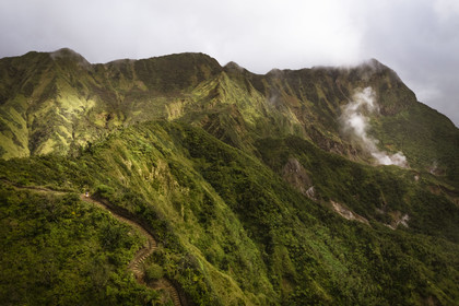 Caraïbes, Ile de la Dominique, Castle Bruce, Parc national du Morne Trois Pitons classé Patrimoine Mondial de l'UNESCO, la forêt tropicale autour du Boiling Lake dont on voit les vapeurs (vue aérienne)