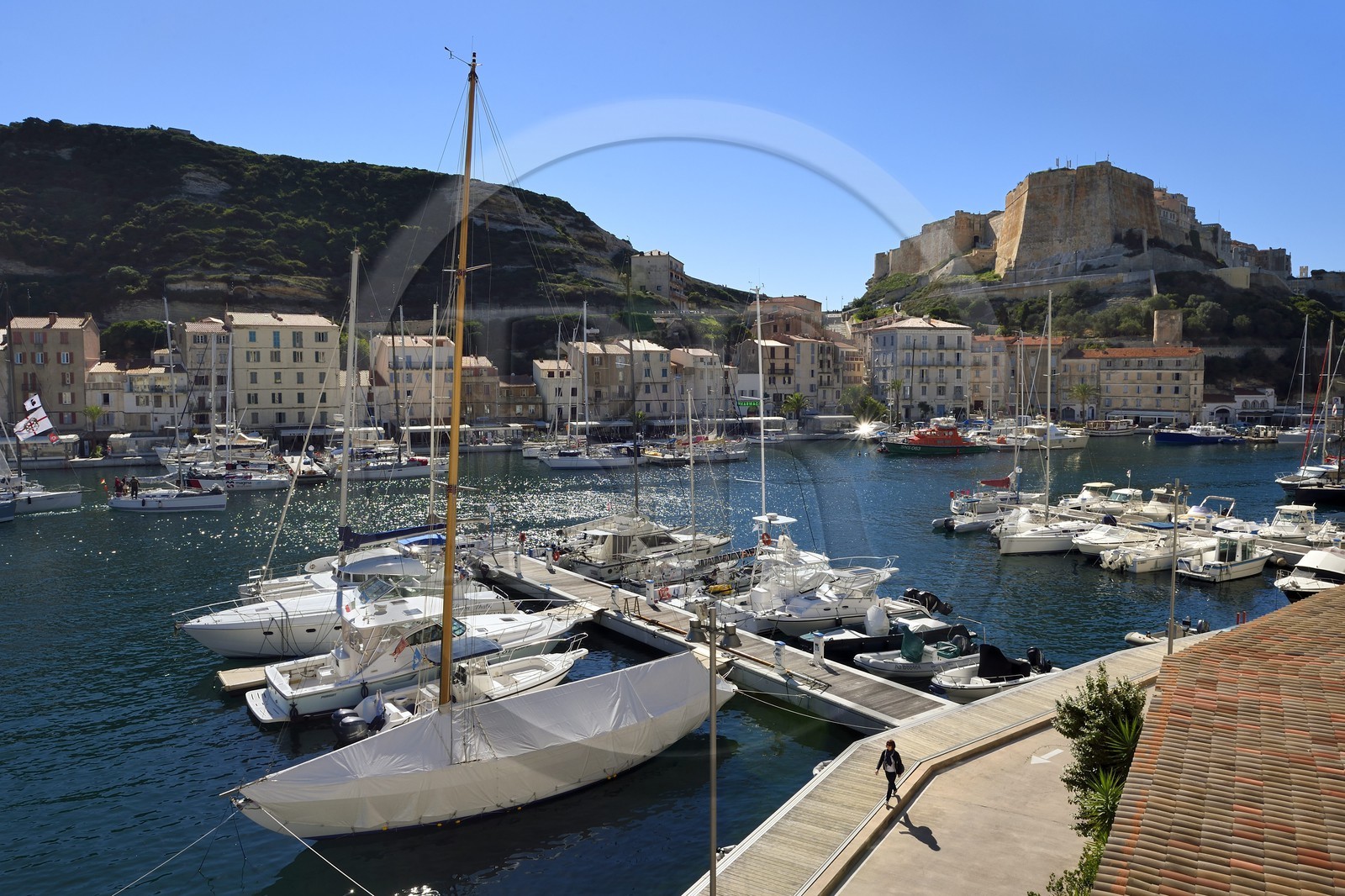 France, Corse-du-Sud (2A), Bonifacio, le port dominé par la citadelle dans la ville haute