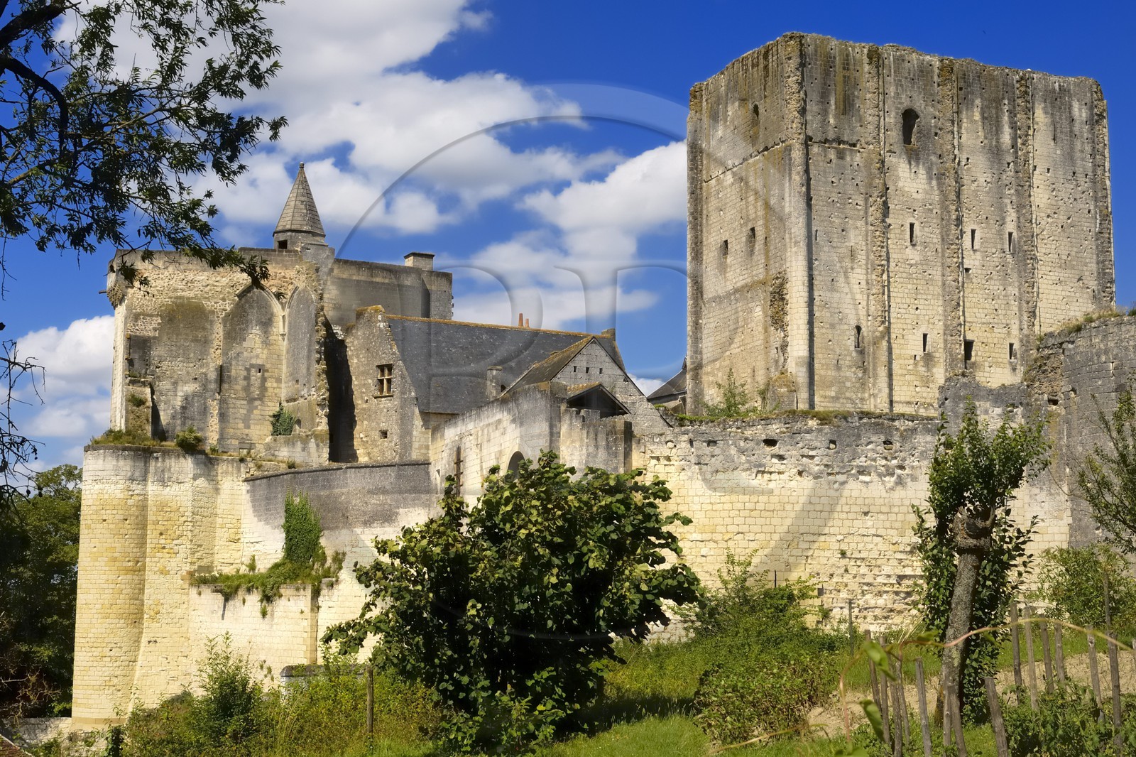 France, Indre-et-Loire (37), Loches, le donjon et la forteresse féodale