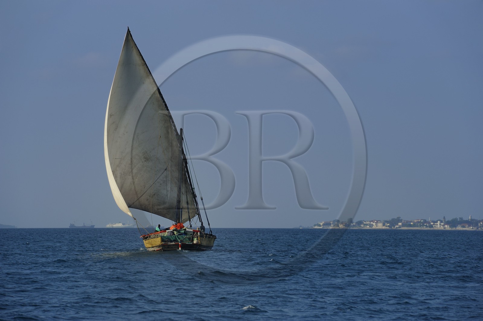 Tanzanie, archipel de Zanzibar, île de Unguja (Zanzibar), côte ouest, un dhow (boutre traditionnel)  naviguant vers Stone Town
