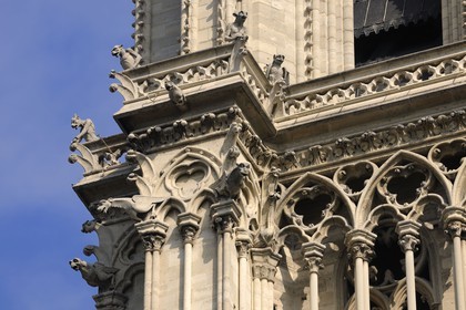 France, Paris (75), Ile de la Cité, cathédrale Notre-Dame de Paris, gargouilles de la tour sud