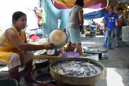 Philippines, province de Tarlac, Victoria, le marché, vente de poissons vivants