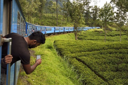 Sri Lanka, Province du Centre, trajet en train dans la région montagneuse de la culture du thé entre Hatton et Badulla, ici entre Talawakele et Great Western, plantation de thé
