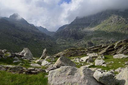 France, Alpes-Maritimes (06), parc national du Mercantour, Vallée des Merveilles parsemée de milliers de gravures rupestres de l'Age de bronze, le Mont des Merveilles (2720m) à gauche et le Mont Bégo (2872m) à droite