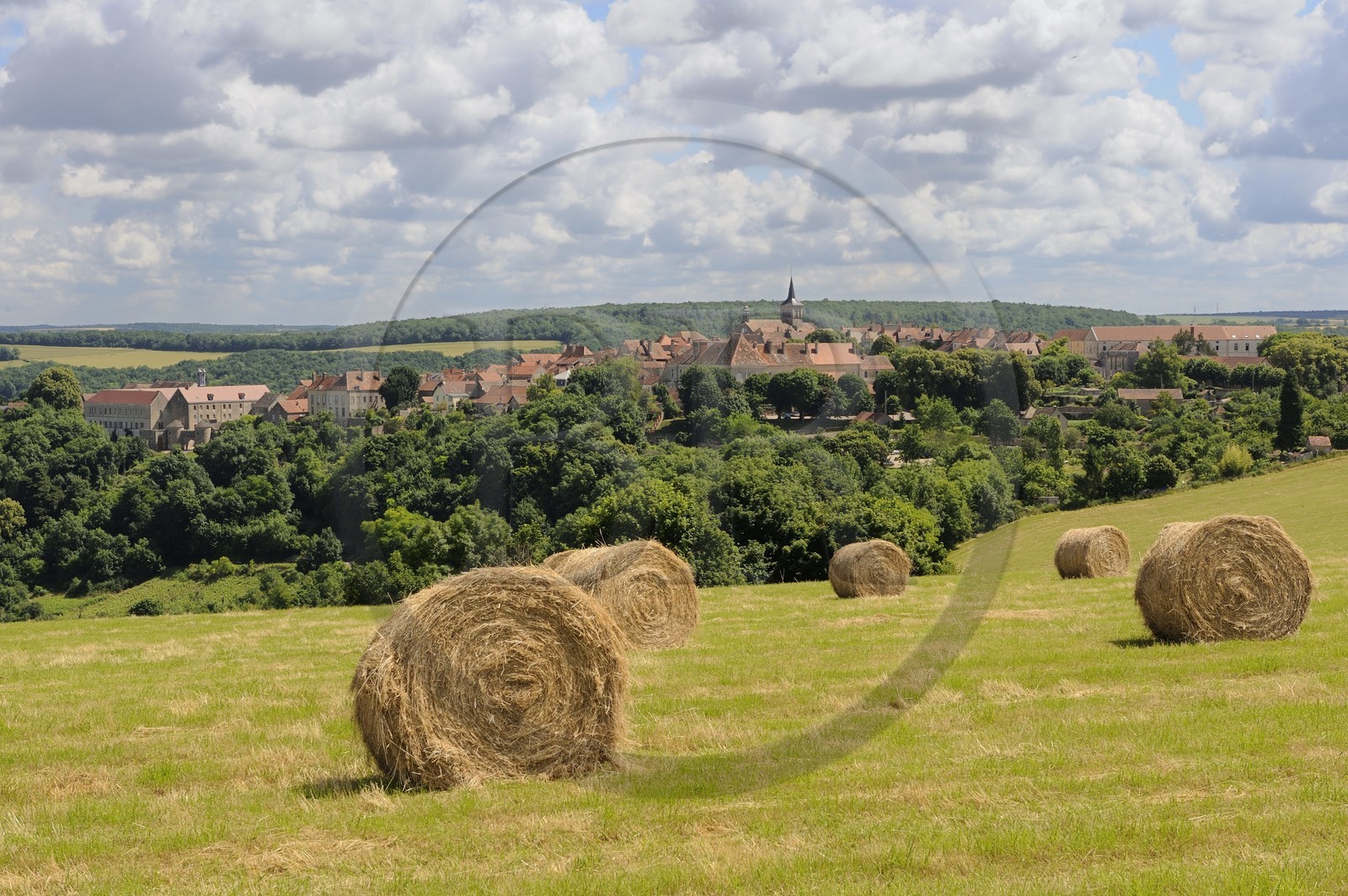 France, Côte d'Or (21), Flavigny-sur-Ozerain