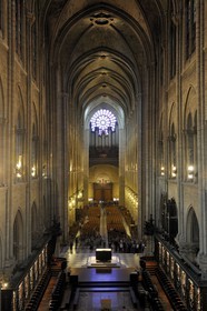 France, Paris (75), Ile de la Cité, cathédrale Notre-Dame de Paris, la nef et la rosace occidentale