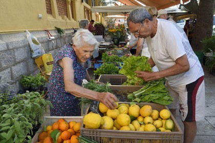 France, Alpes-Maritimes (06), Menton, marché couvert, halle municipale, la productrice Julie Barreli vend ses citrons de Menton