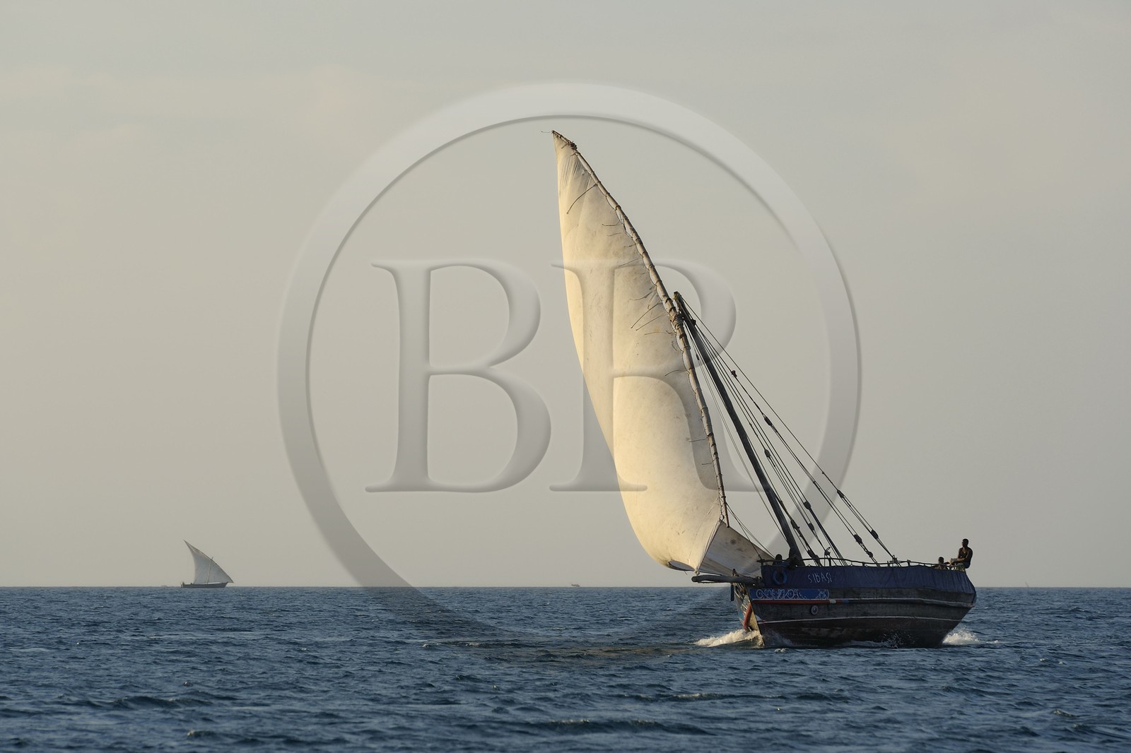 Tanzanie, archipel de Zanzibar, île de Unguja (Zanzibar), côte ouest, un dhow (boutre traditionnel)