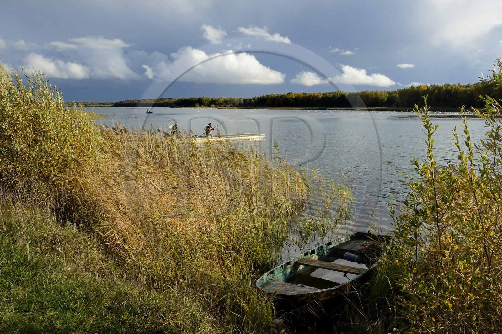 France, Meuse (55), Parc régional de Lorraine, Cotes de Meuse, Heudicourt-sous-les-Côtes, pêcheurs sur le lac de la Madine