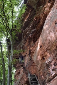 France, Bas-Rhin (67), Parc naturel régional des Vosges du Nord, Niedersteinbach, foret domaniale de Steinbach, rocher en grès appelé Rocher des Tziganes qui possèdait une petite tour de garde