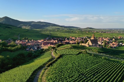 France, Haut-Rhin (68), Route des vins d'Alsace, Hunawihr, labellisé Les Plus Beaux Villages de France, église fortifiée Saint-Jacques-le-Majeur du XIVème siècle fonctionnant en simultaneum (catholique et protestant) et entourée de vignes (vue aérienne)