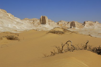 Egypte, désert libyque, le Désert Blanc au nord de Farafra