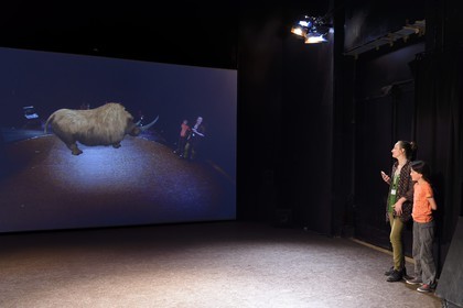 France, Dordogne (24), Perigord Noir, vallée de la Vézère, Thonac, Le Thot, espace Cro-Magnon, le miroir temporel, animation de réalité augmentée, les visiteurs se retrouvent face à des animaux disparus tels qu'un rhinocéros laineux