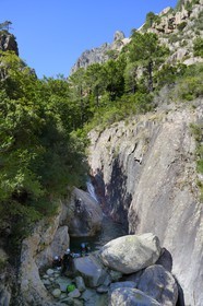 France, Corse-du-Sud (2A), Alta Rocca, Bavella, canyoning dans le torrent de Polischellu
