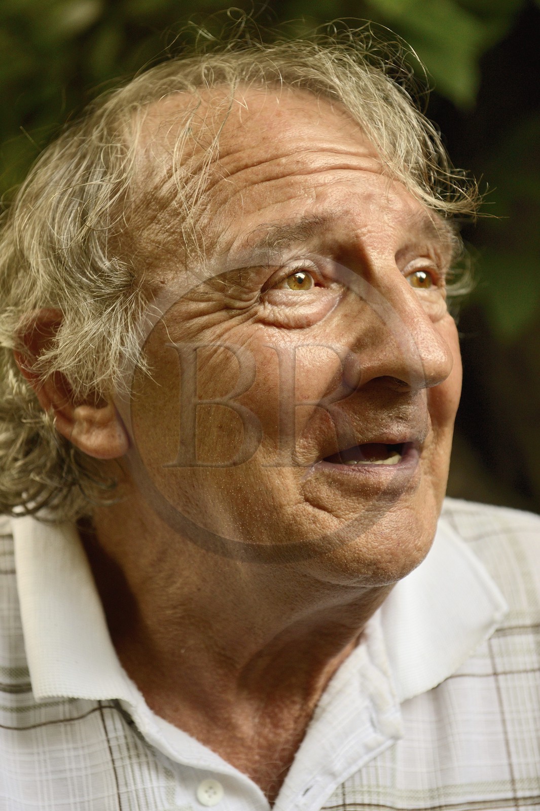 France, Haute-Corse (2B), Castagniccia, village de Carcheto, l'écrivain Jean-Claude Rogliano