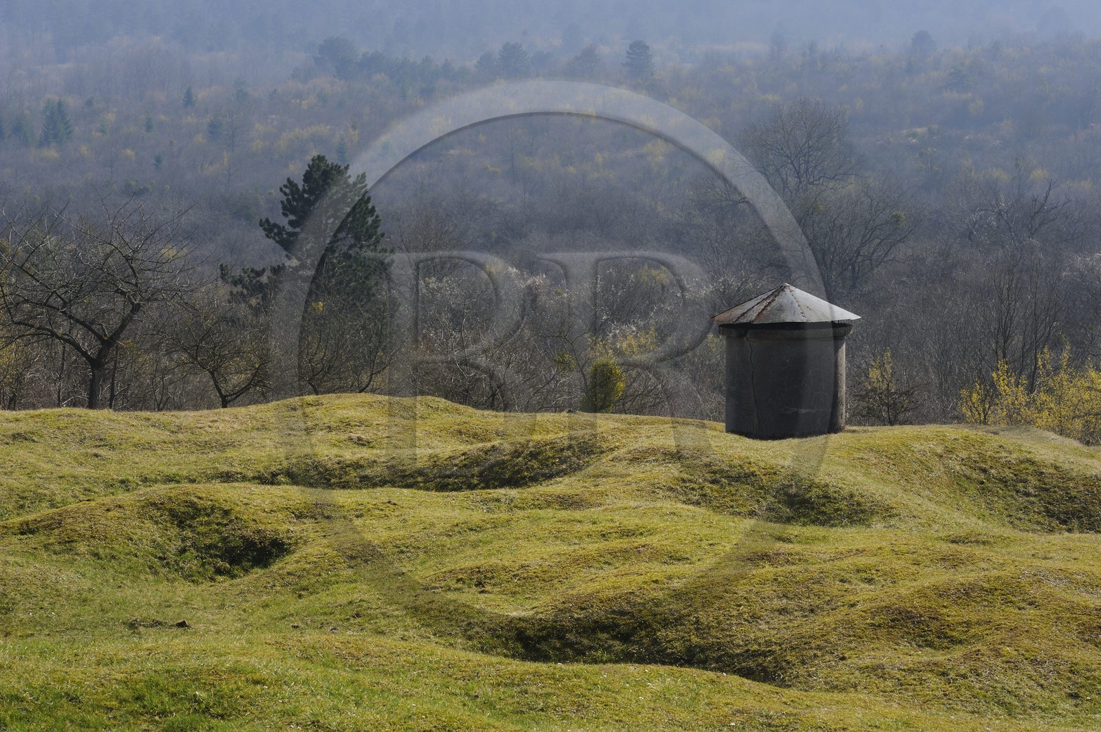 France, Meuse (55), région de Verdun, trou d'obus sur abri 320 en bordure de l'ossuaire de Douaumont