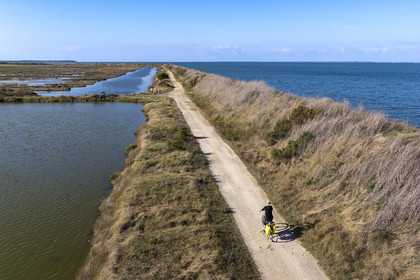 France, Vendée (85), île de Noirmoutier, Barbatre, cyclistes sur la digue de la côte Est dans la Réserve Naturelle du Polder de Sebastopol (vue aérienne)