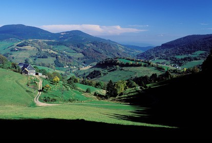 France, Haut-Rhin (68), route des Crêtes vers le col du Bonhomme