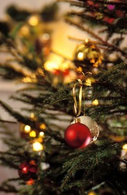 France, détail d'un sapin décoré pour les fêtes de Noël