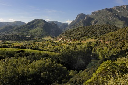 France, Hérault (34), vallée de l' Orb dans la region de Mons la Trivalle, vignoble AOC Saint-Chinian & Roquebrun