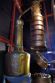 France, Ile de la Reunion, Saint Pierre, domaine de la distillerie Isautier, musée de la Saga du Rhum, colonne de distillation qui remplace l'alambic au premier plan