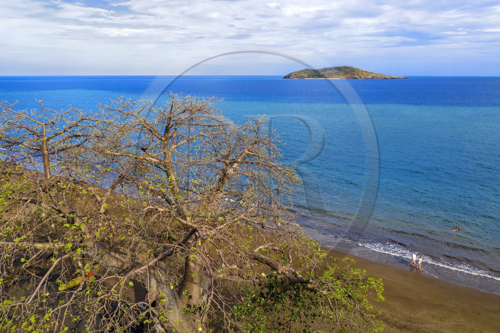 France, Ile de Mayotte, Grande-Terre, Nyambadao, baobab en bordure de la plage de Sakouli et ilot de Bandrélé en arrière plan (vue aérienne)